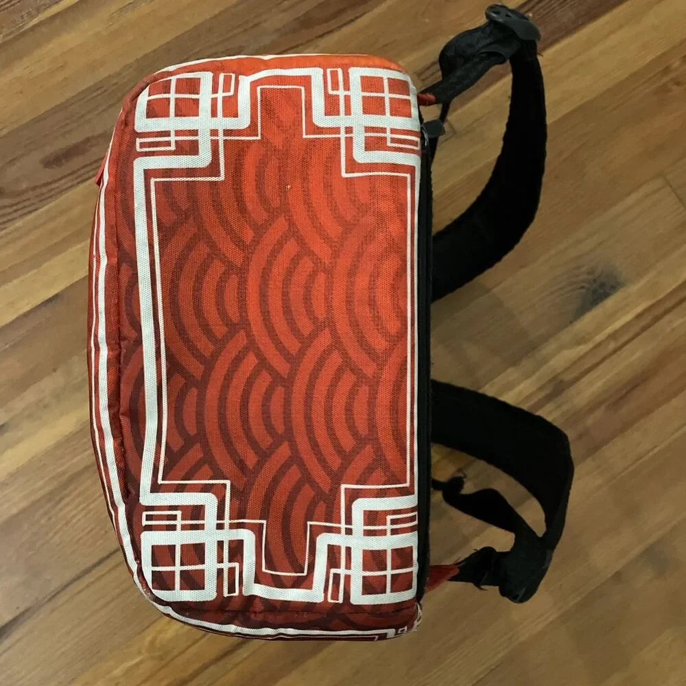 Sprayground Kung Fu Panda Smash DLXRS Limited Edition Backpack Bookbag Travel